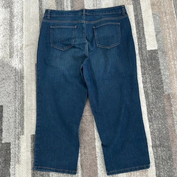 Style & Co Mid-Rise Curvy Capris brand new! - Picture 3 of 6